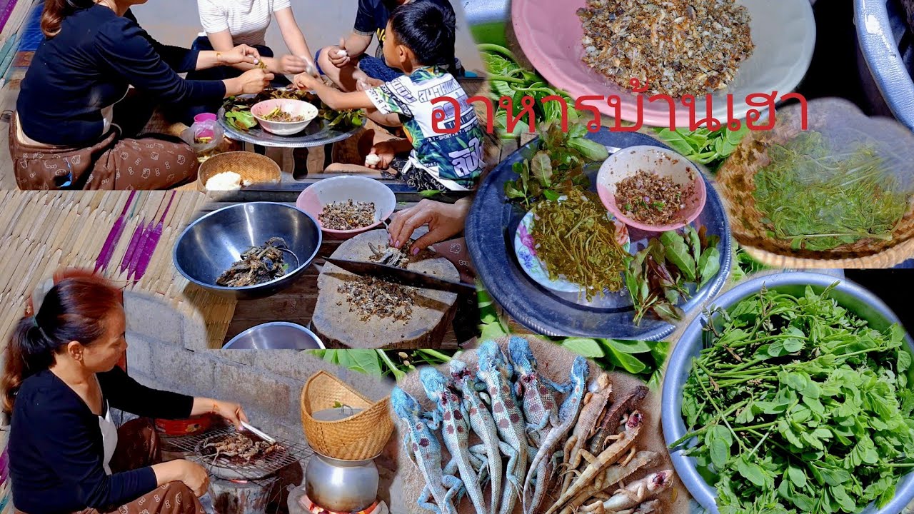 กินข้าวแลง ก้อยกะปอม หนึ้งผักอิฮุม อาหารบ้านๆ 7 มีนาคม ค.ศ. 2026