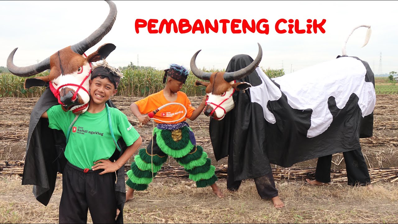 film pendek | SI KECIL PENJAGA SENI BANTENGAN | SANG PEMBANTENG CILIK MAIN BANTENGA SAMPAI MBEROT