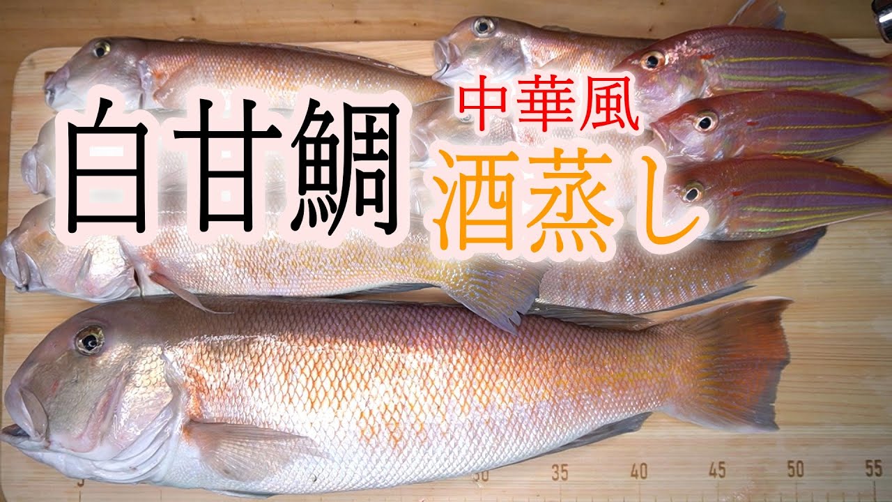 白甘鯛料理【松笠揚げ】【刺身】【中華風酒蒸し】2023.1.16貴丸白甘鯛料理