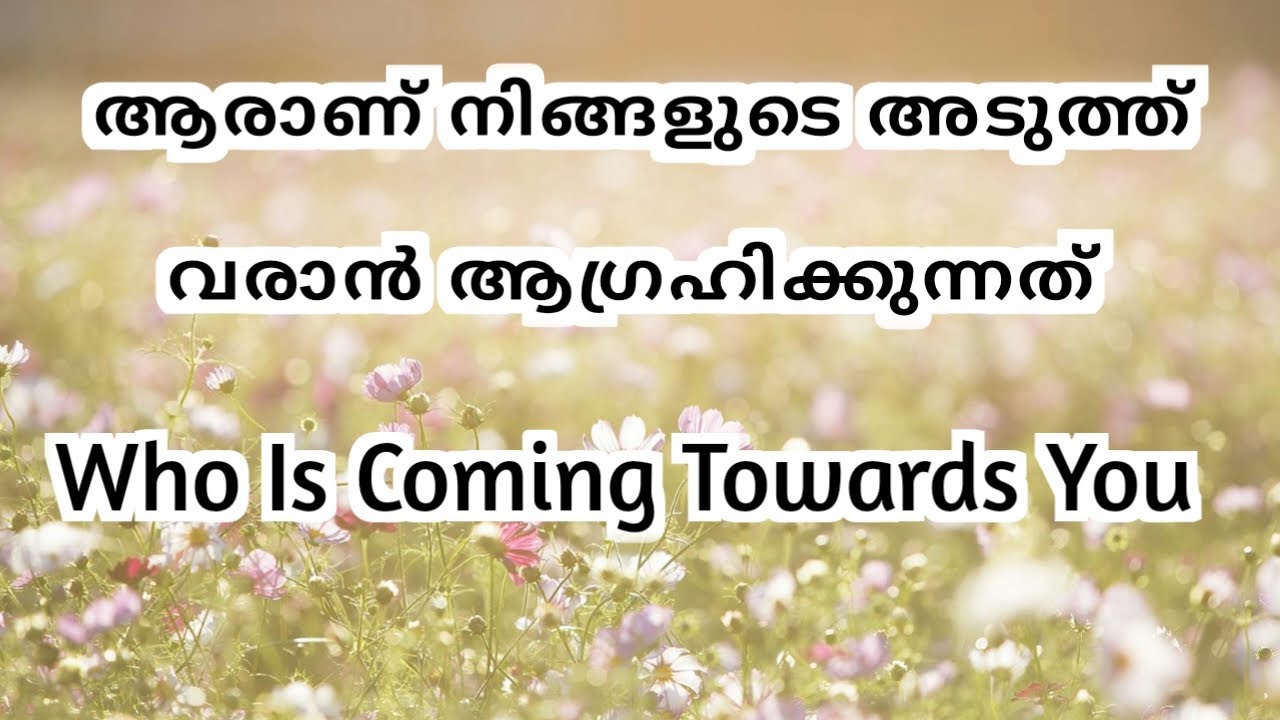 ആരാണ്  നിങ്ങളുടെ അടുത്ത് വരാൻ ആഗ്രഹിക്കുന്നത്. #malayalam #tarotcardreadingmalayalam