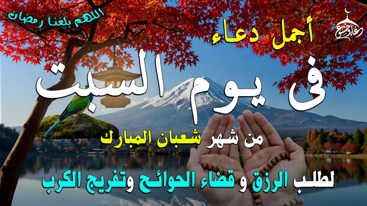 دعاء فى صباح يوم السبت 12 من شهر شعبان لطلب الرزق والفرج وقضاء الحوائج وتفريج الهم بإذن الله 💚