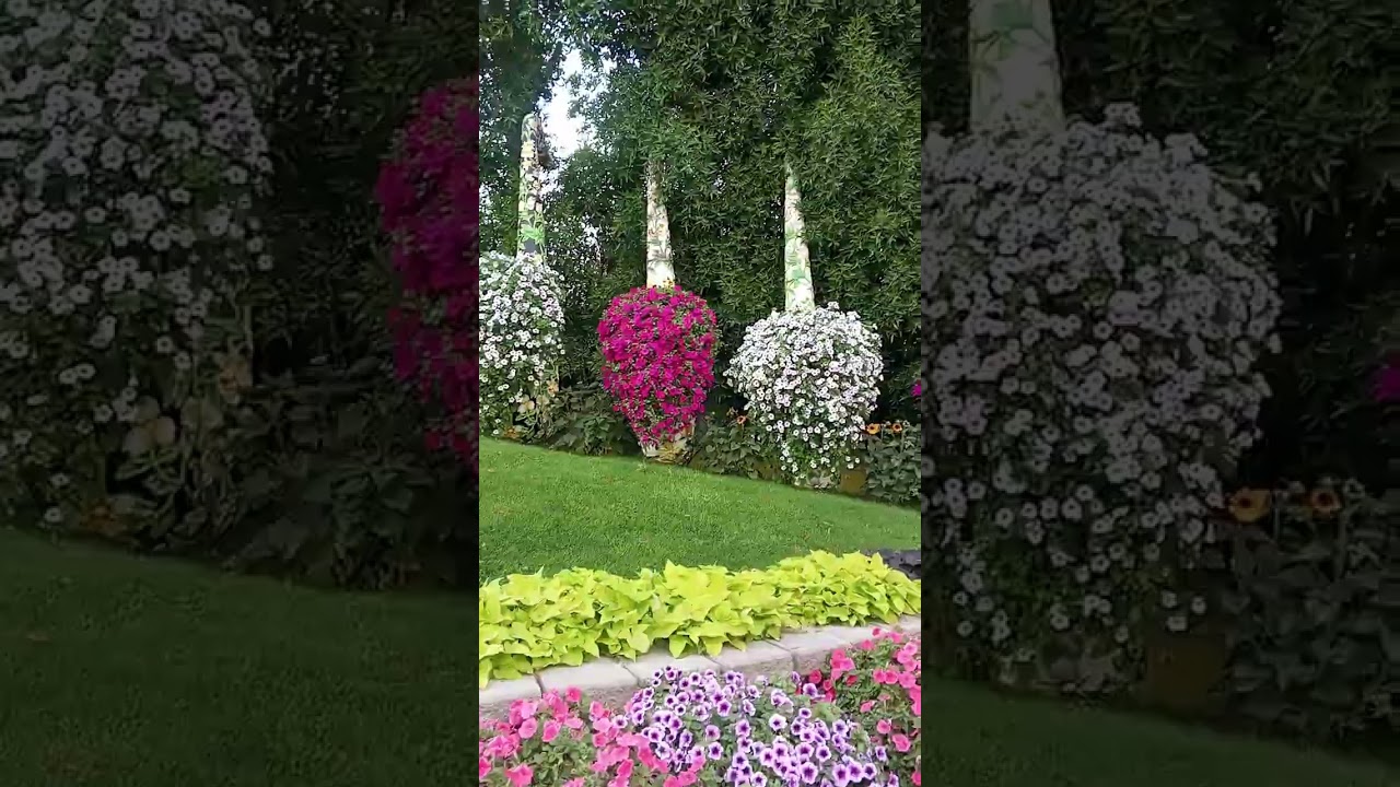 #viralvideo #miracle garden in Dubai 2024