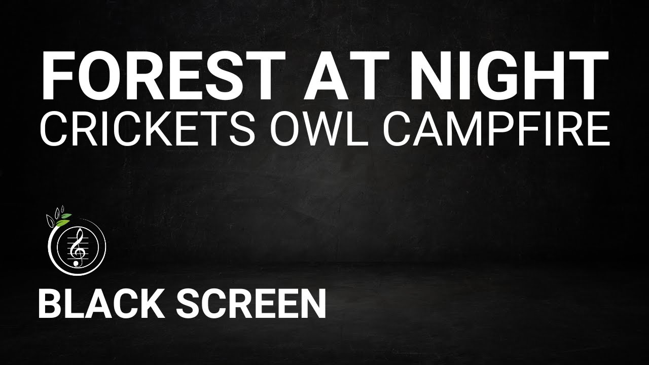 Forest Sounds at Night - Crickets, Owl, Campfire, Creek Sounds - Sleep, Relax, Yoga or Meditation