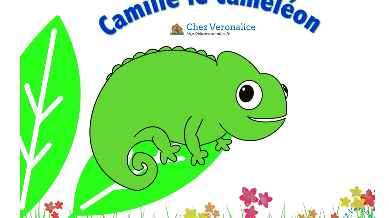 Camille le caméléon une histoire au Kamishibai