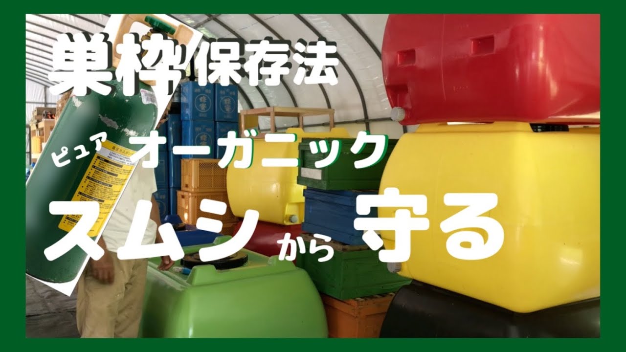 オーガニックに蜜蜂巣脾をスムシから守り保管する方法を説明します｜大切な巣枠　＃スムシ＃巣枠＃養蜂
