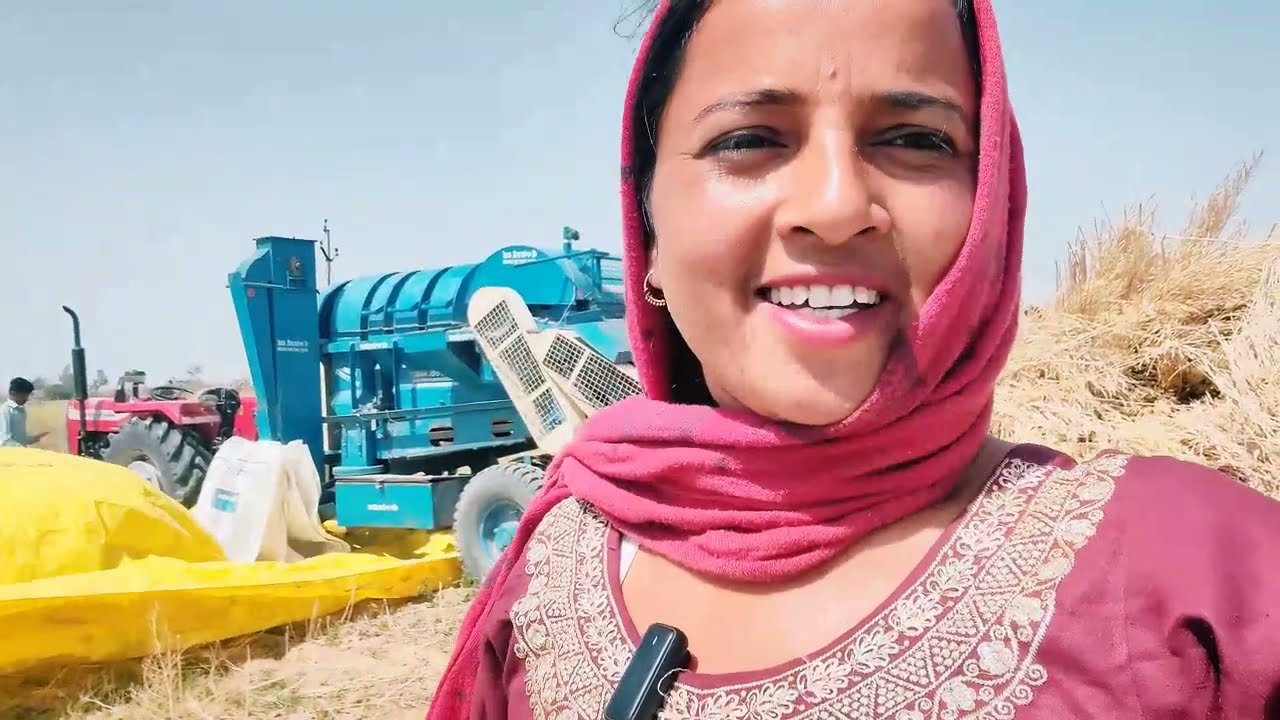 ਅੱਜ ਖੇਤਾਂ ਵਿੱਚੋਂ ਪੀਲੀ ਸਰੋਂ ਕੱਢੀ 🌾 | ਕਿੰਨੀ ਨਿਕਲੀ ਸਰੋਂ? 😲ਖੇਤੀਬਾੜੀ ਦੀ ਅਸਲੀ ਜ਼ਿੰਦਗੀ 🌾