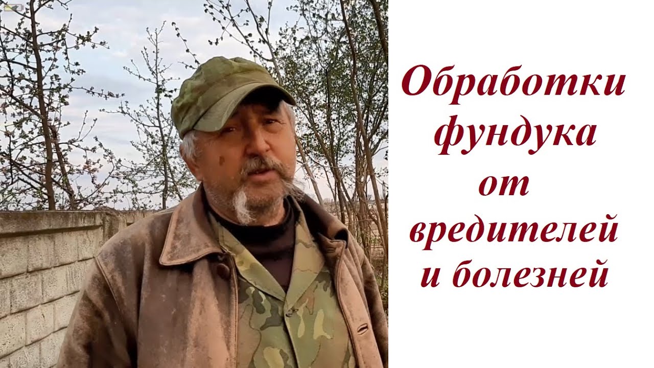 Обработки фундука: сроки, препараты, дозы