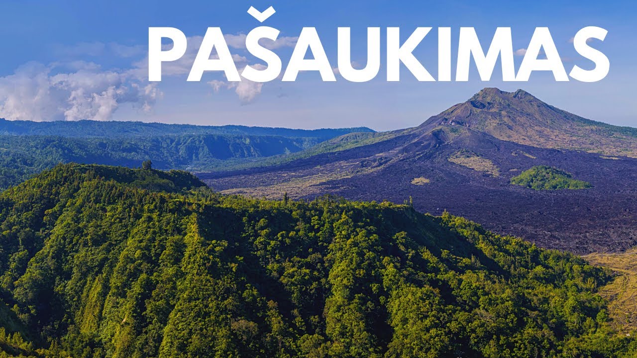 PAŠAUKIMAS