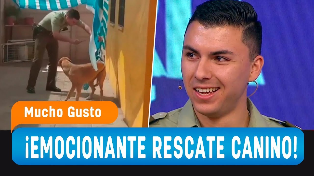 La historia detrás del video del carabinero que salvó a una perrita - Mucho Gusto 2019