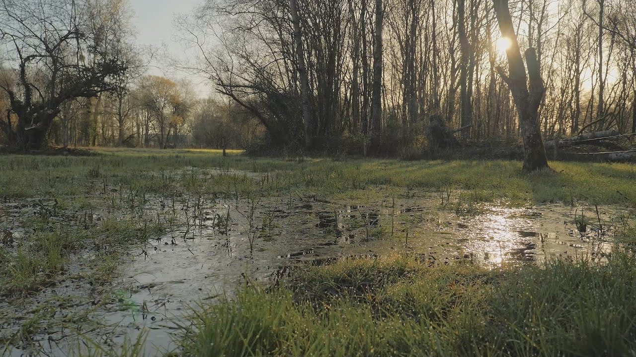 Espace naturel sensible des Landes de Jaunouse