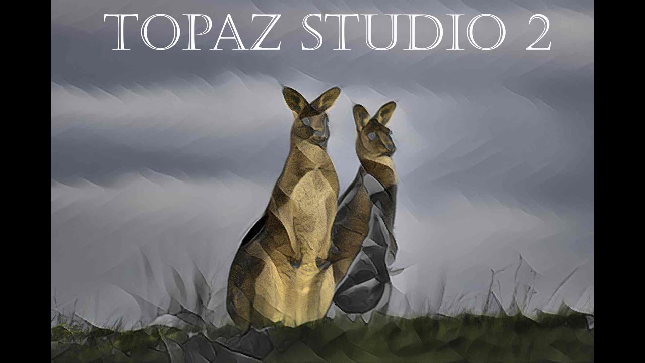 Topaz Studio 2