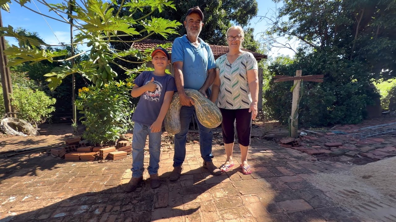 Visitando o sítio da dona Ivanir muitas plantas e criações Uma Verdadeira Vida raiz…