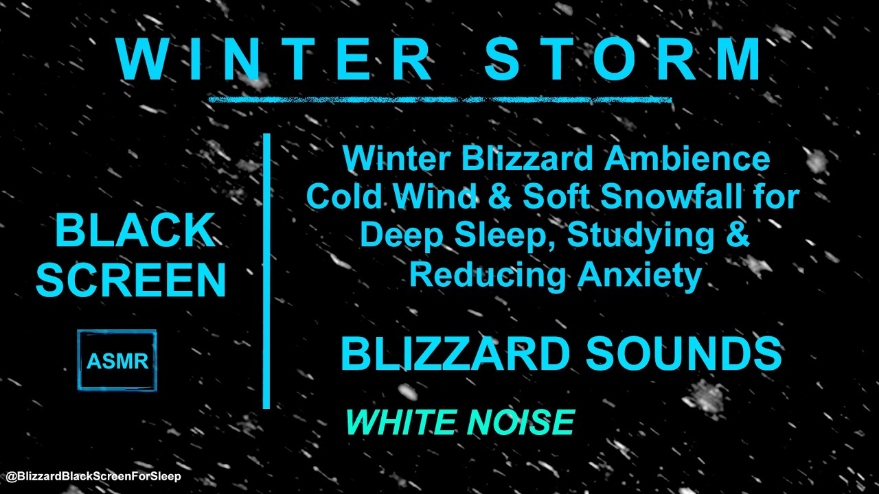Winter Blizzard Ambience ❄️ Cold Wind & Soft Snowfall for Deep Sleep, Studying & Reducing Anxiety