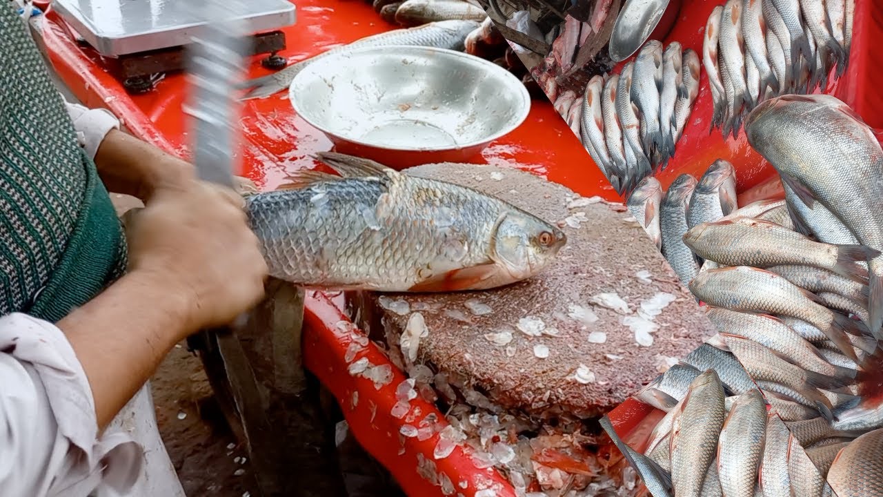 Fish Cutting Skills Pakistan| Rohu Fish Cutting| #fishcutting | Fish cutting Expert