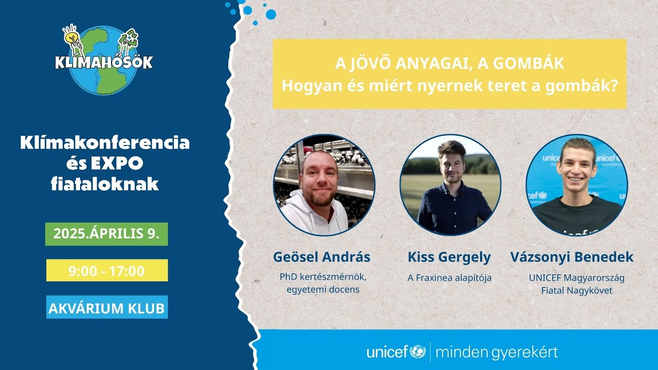 A jövő anyagai, a gombák - hogyan és miért nyernek teret a gombák?