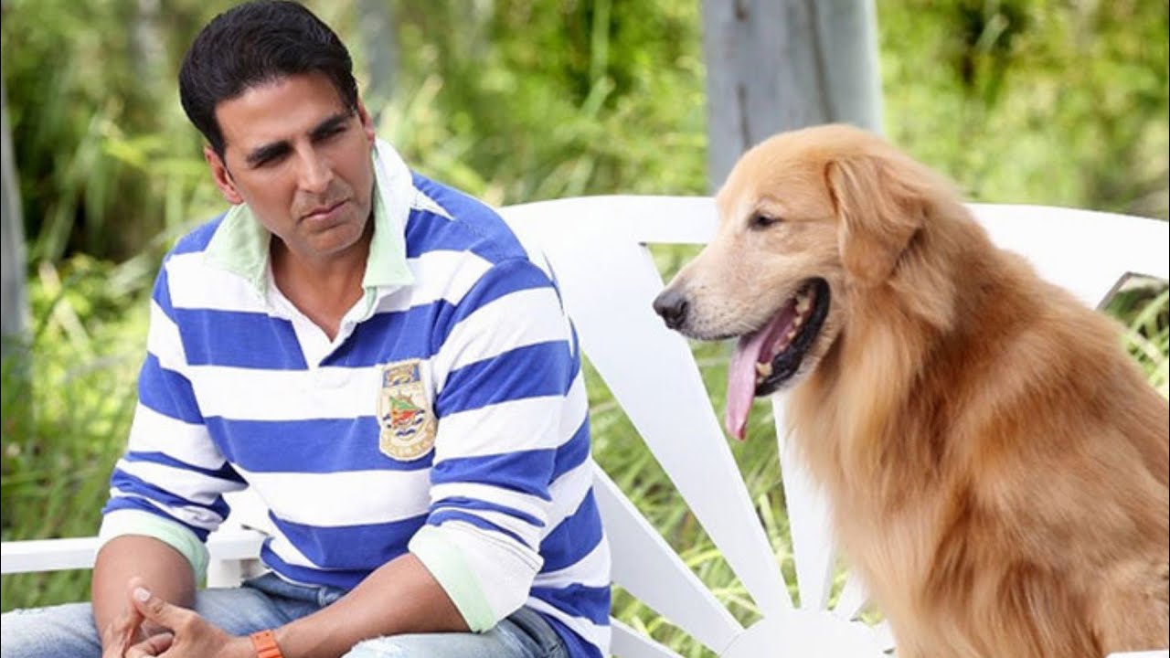 بعد ماقضى نص حياته فى الفقر بيعرف بالصدفه ان والده مليونير وبيتصدم لما بيعرف انه كتب ثروته لكلب