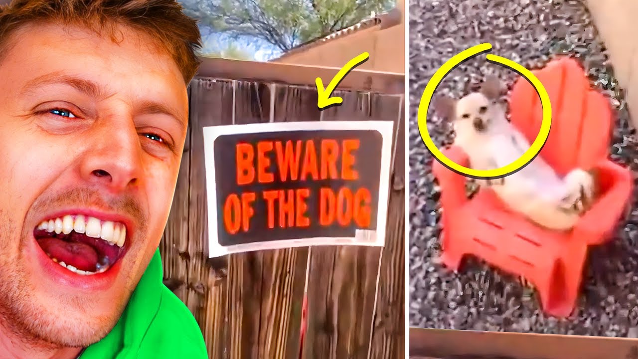 WEIRDEST THINGS CAUGHT ON CAMERA!