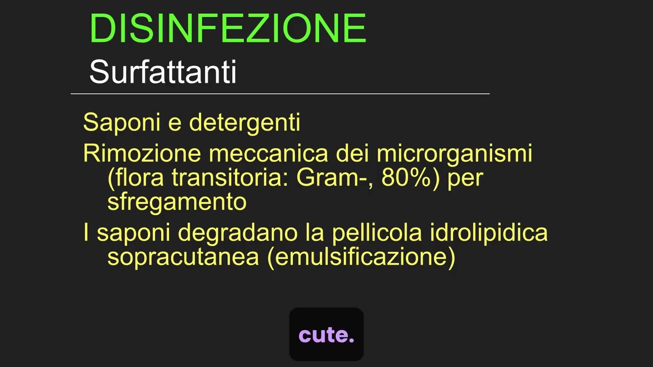 MICROBAT3