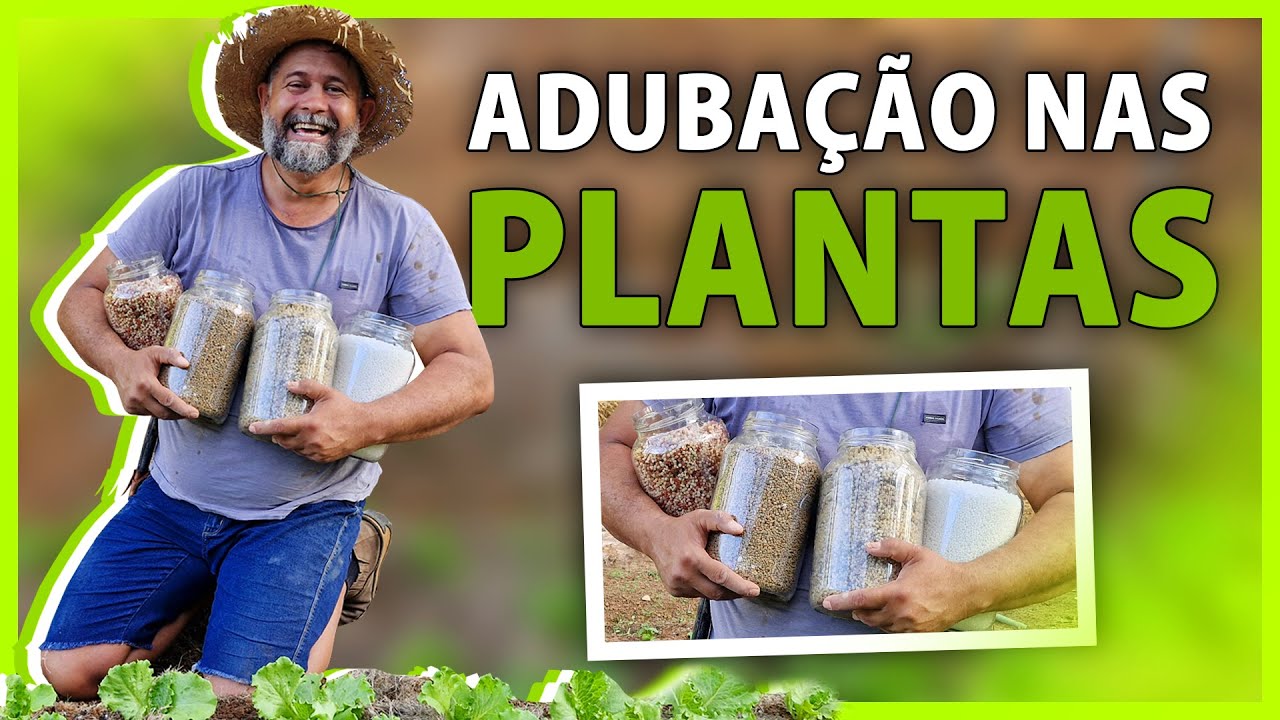 PRINCIPAIS adubos e NPK para as plantas