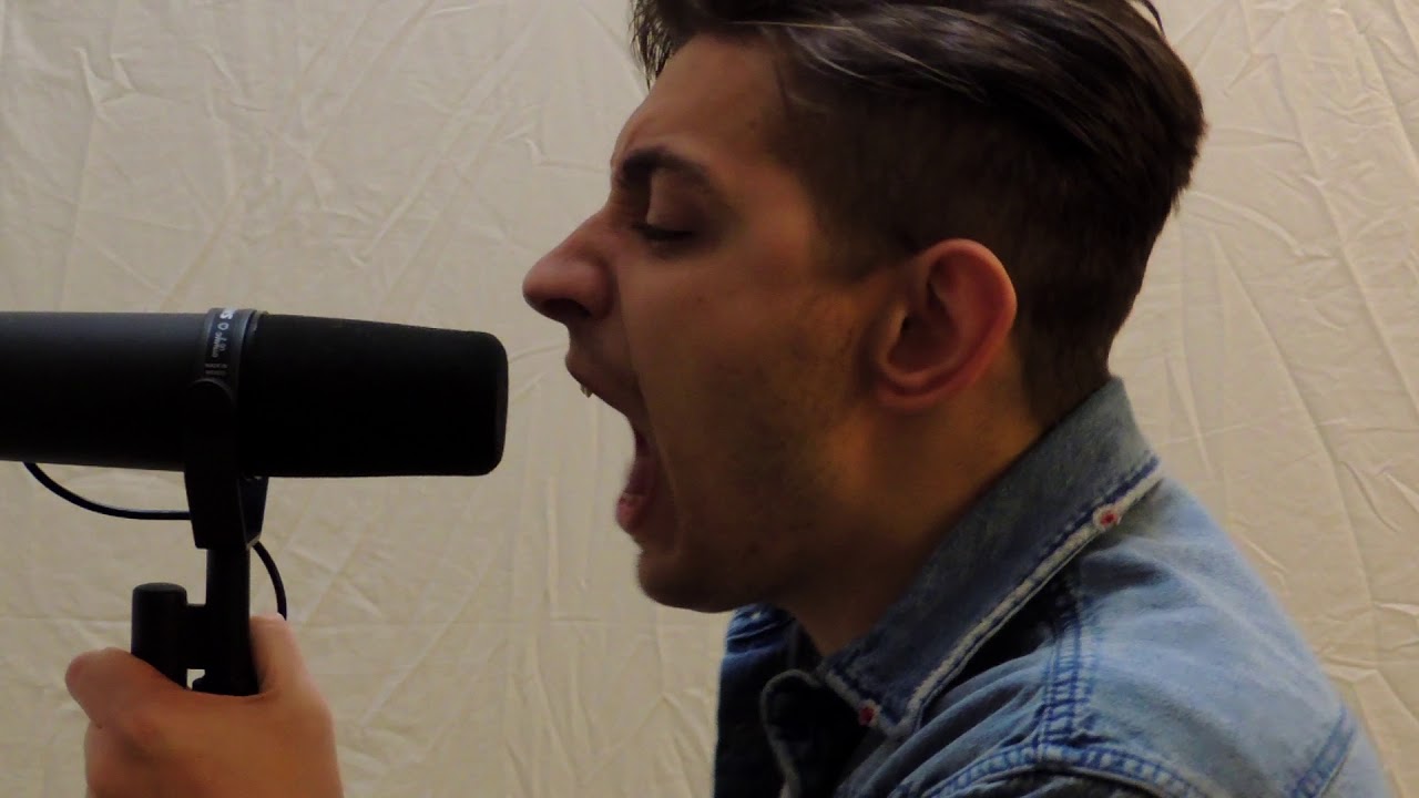 GLASSLANDS - Back and Forth (Vocal Cover)