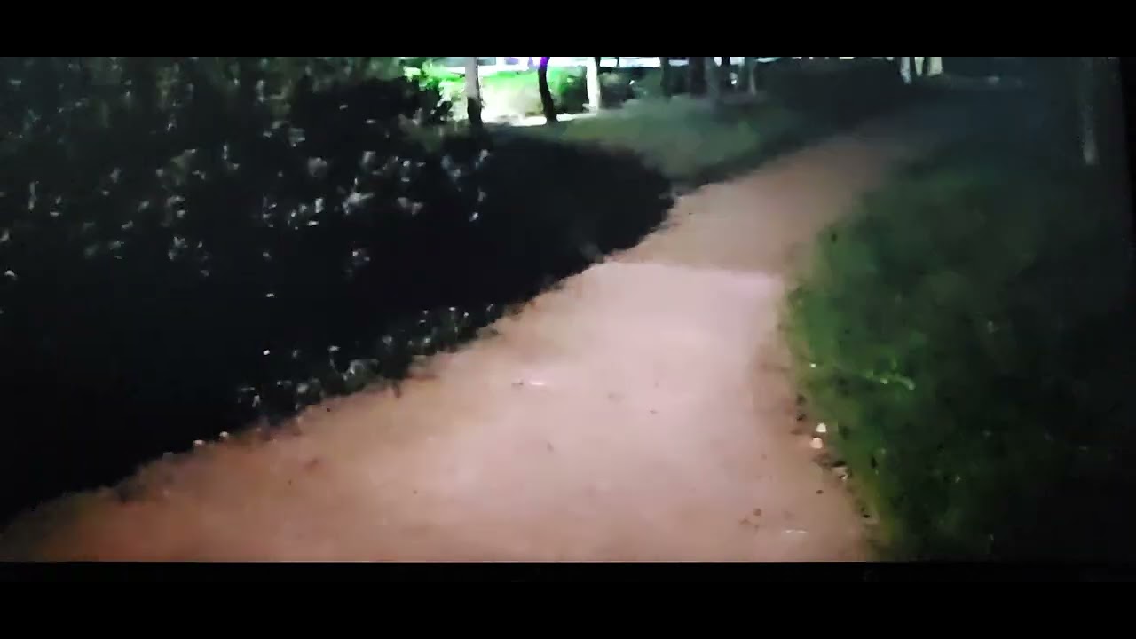 소녀와가로등  진미령  (김도화커버)