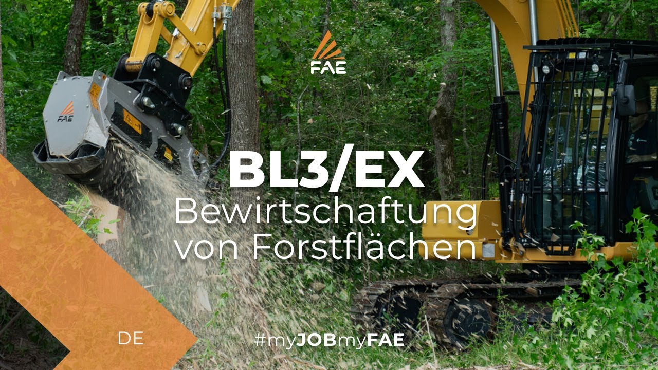 Forstmulcher FAE BL3/EX mit einem Supertrak SK200MX Bagger