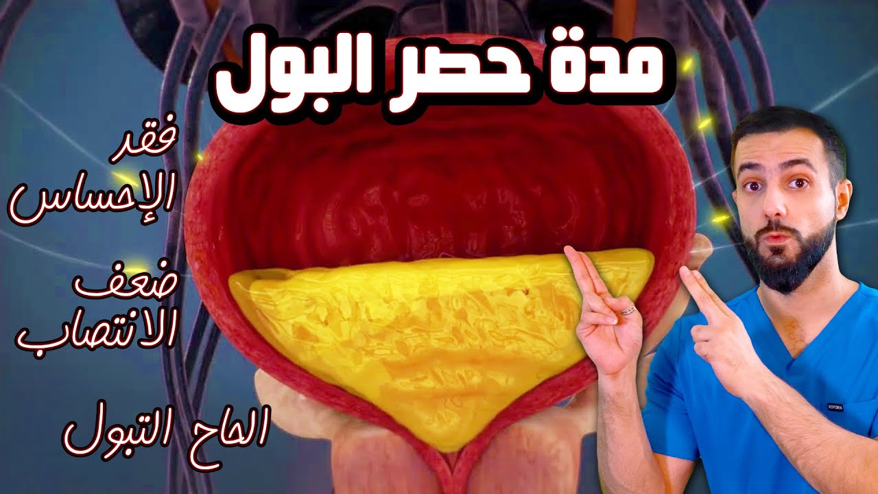 تأثير حصر البول على الجسم || هل يجب عليك تفريغ المثانة فورًا؟
