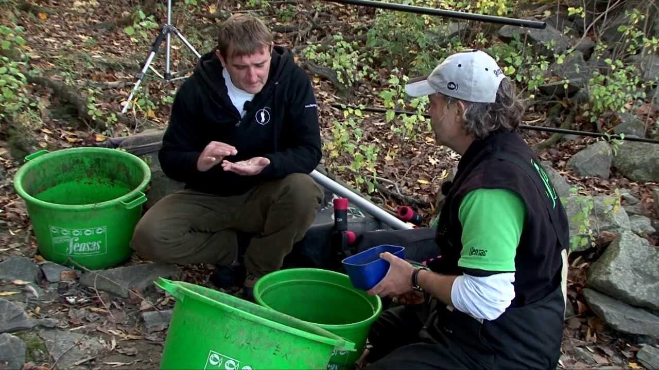 PECAT&Uacute;RA 2013. NOVEMBER