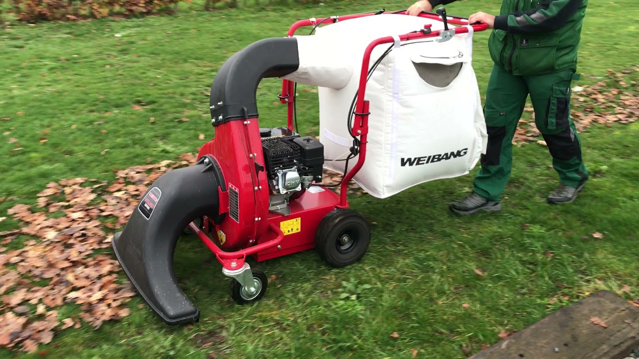 Bladzuiger Weigang WBL506C