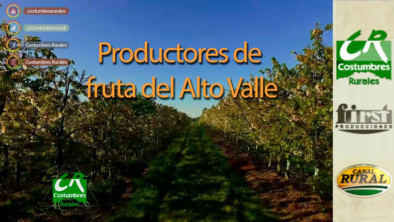 Pequeños productores de fruta del Alto Valle de Río Negro - CR#816