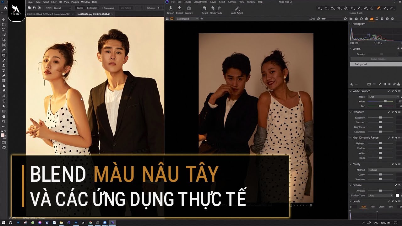 Khám Phá Sự Thật Về Tone Màu Nâu Tây Trung Quốc Và Ứng Dụng | Tizino Academy