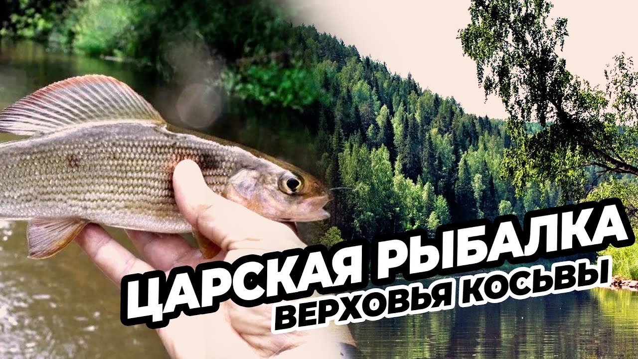 Джип-тур 