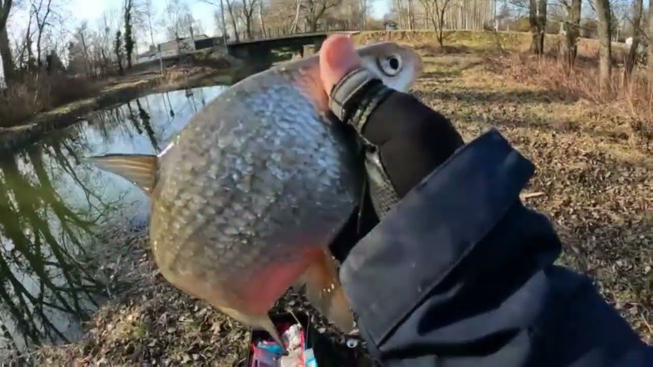 keszegre a LEGFINOMABB módszerrel... Мормышинг - x horgásta Kirillel 02.28 redkrill.hu  #fishing