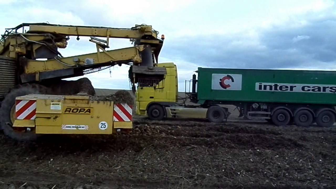 ODBIÓR BURAKÓW CUKROWYCH 2013 ( HD )