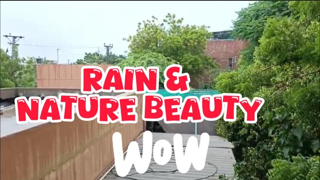Rainfall Beauty & Nature’s Divine Power | Peaceful Relaxing Scenic Moments