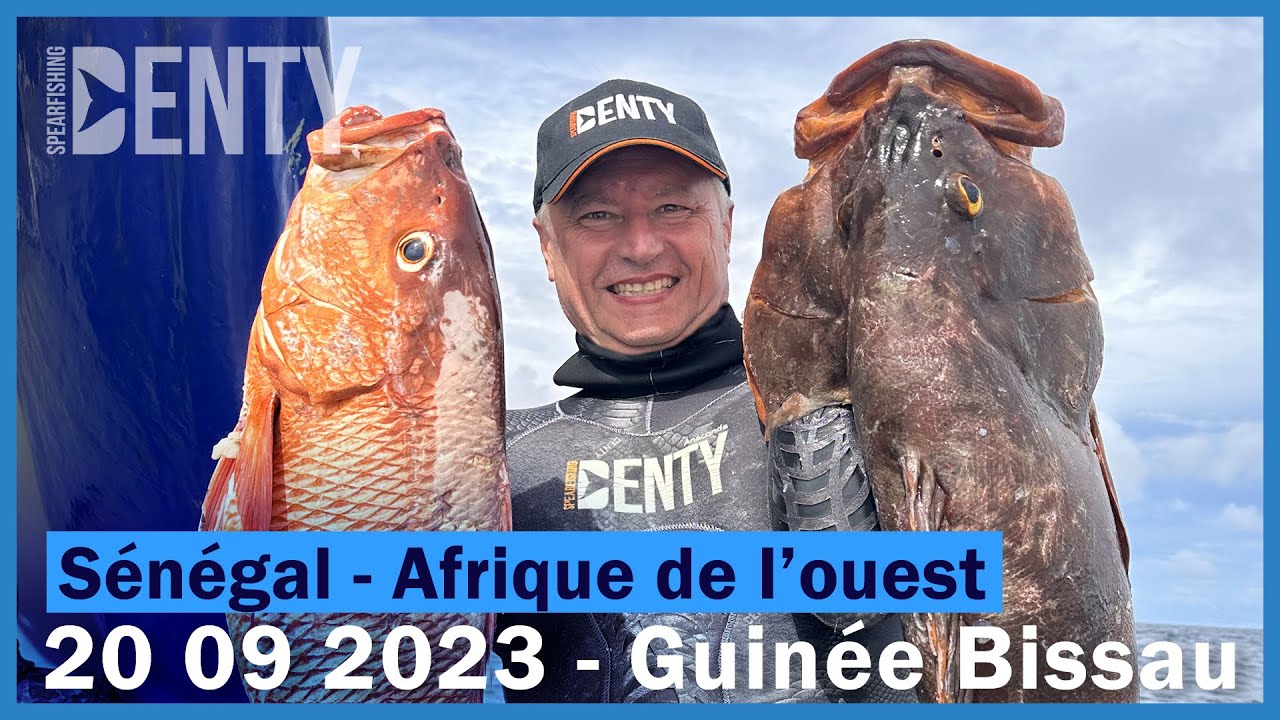 Le danger du mérou en Chasse sous-marine.
