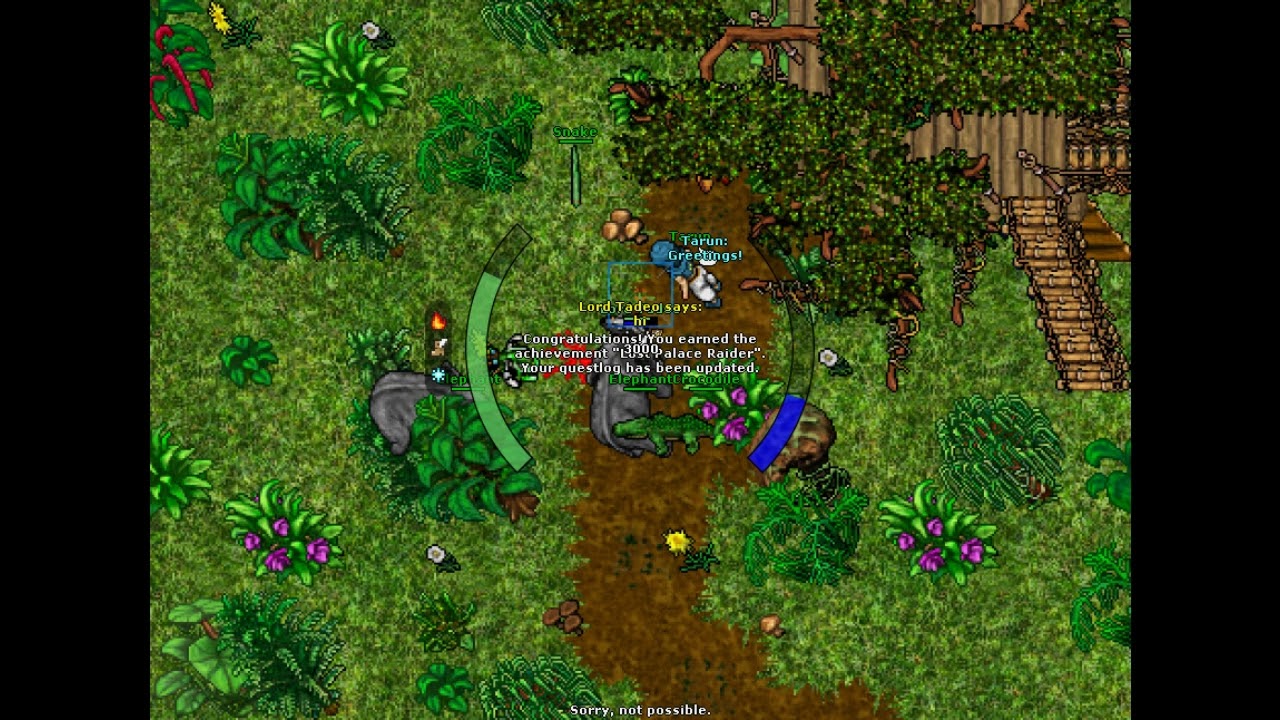 Runy i Respawn