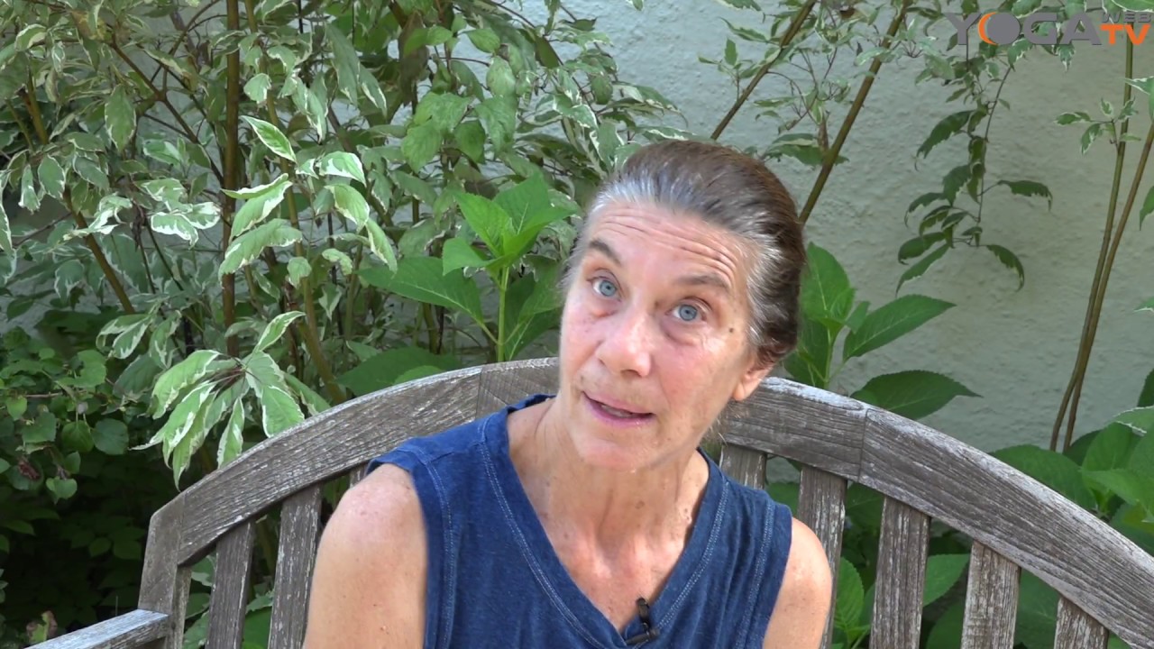 Surya Namaskar in ...  New York  -  meeting Nevine Michaan