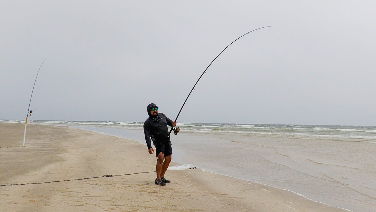 Always a Surprise when Surf Fishing San Luis Pass