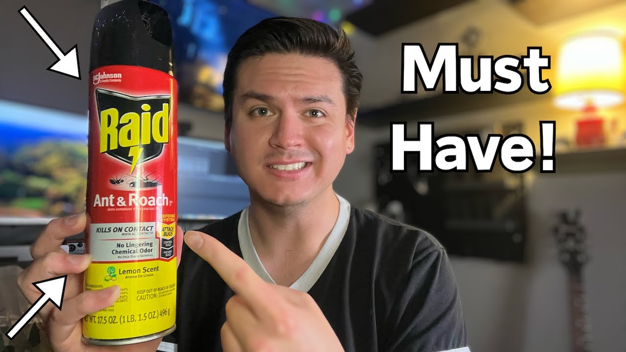 Blast Away Bugs with Raid Ant & Roach Killer Spray
