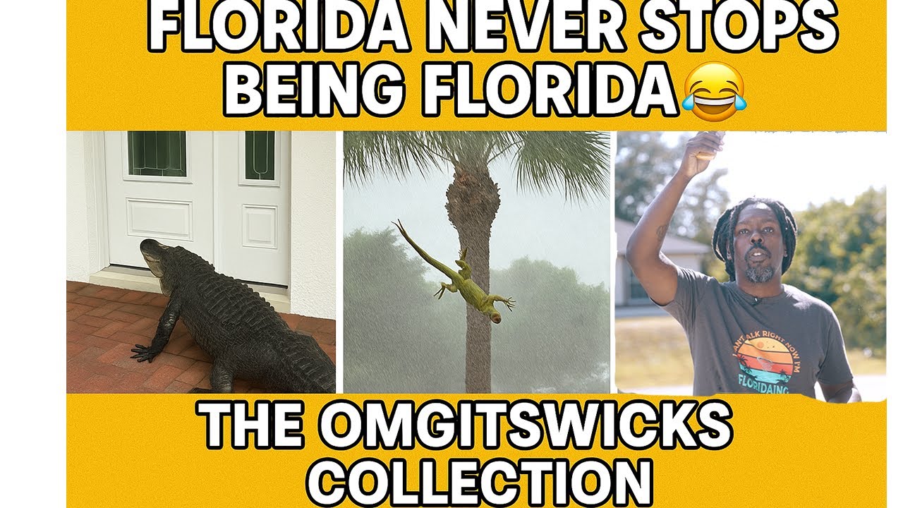 Florida Never Stops Being Florida 😂🌴 The Omgitswicks Collection