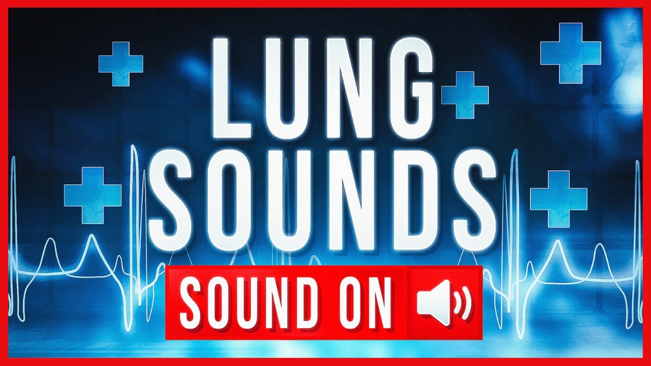 REAL LUNG SOUNDS + ASSESSMENT