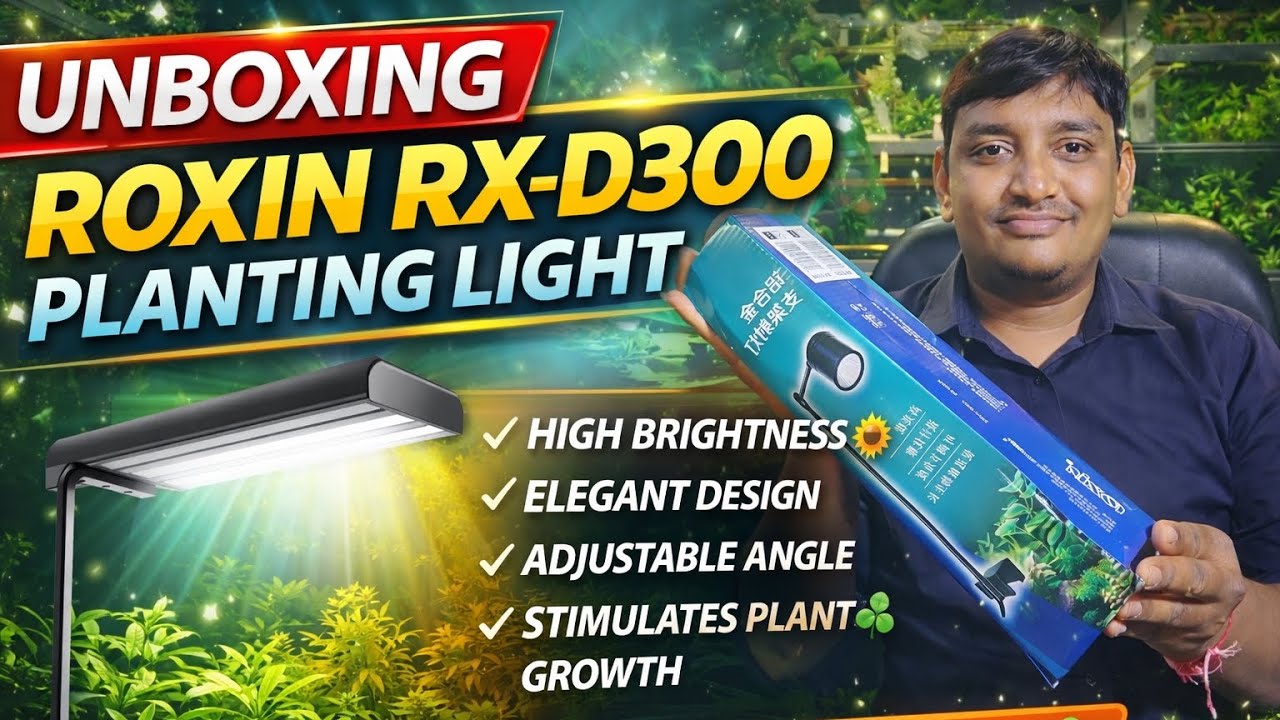 Unboxing Roxin RX-D300 Planting Light 🌱 | Best LED for Aquarium Plants? | #Roxin #RoxinRXD300 #tank 