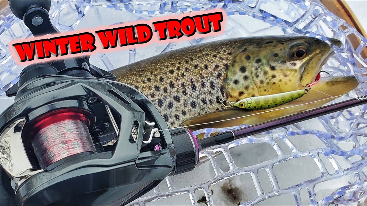 Winter Wild Trout Fishing in Pennsylvania (BFS Trout Fishing with Daiwa Alphas Air TW)