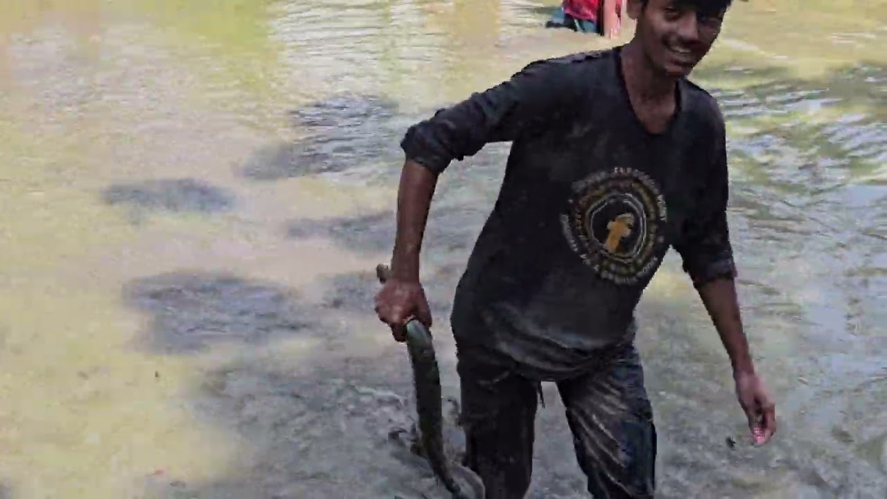 গ্রামের পুকুরে মাছ ধরলাম দেখুন 