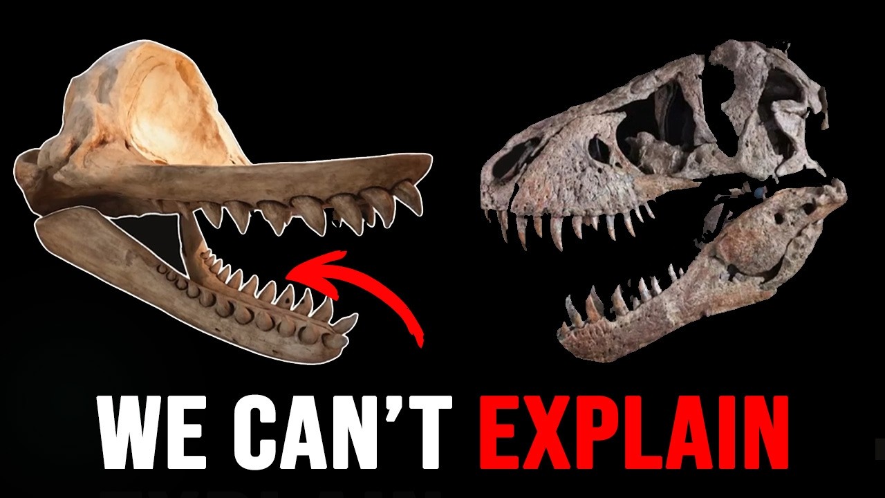 Nothing About The Livyatan is Sanity