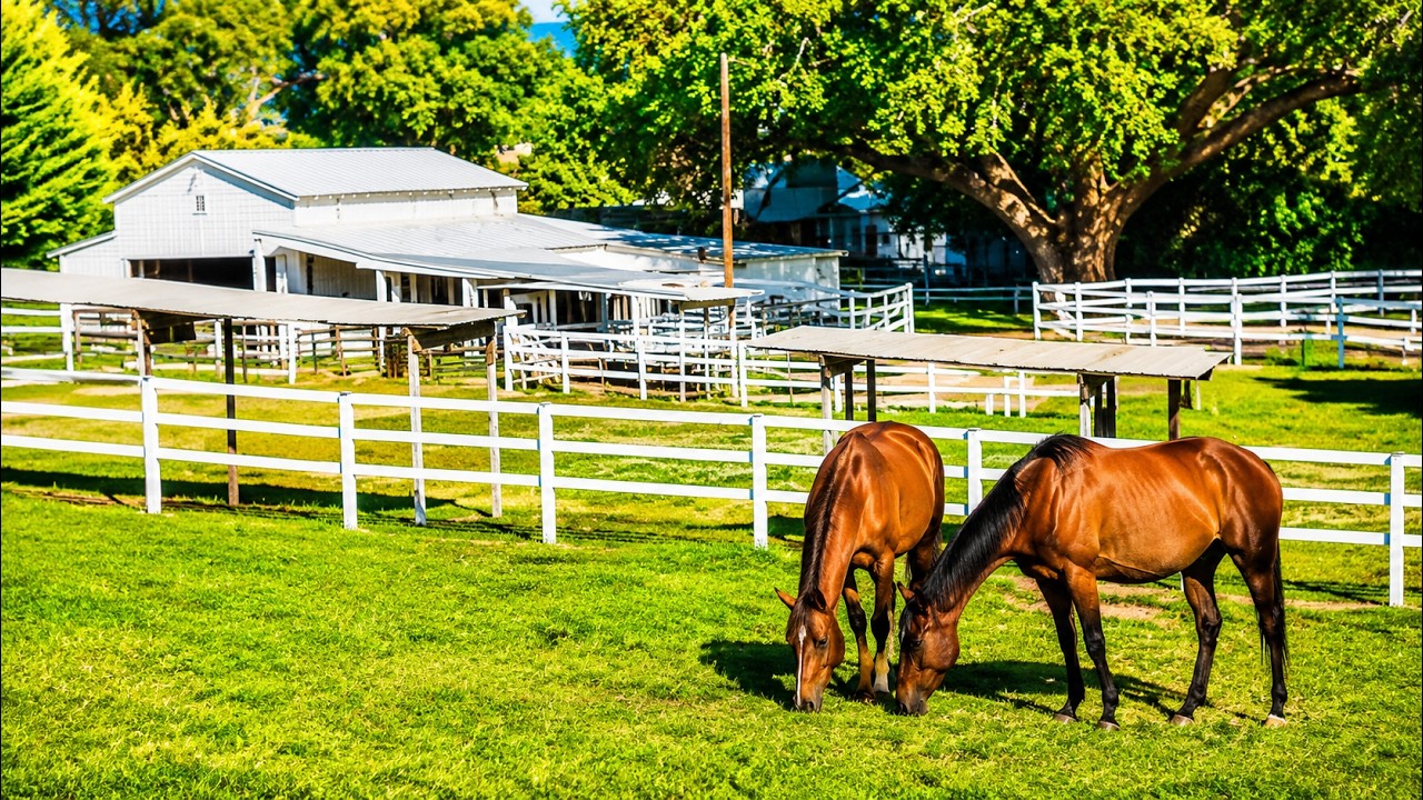 A California Campground with Stables | Rancho Oso RV Resort (Santa Barbara CA)