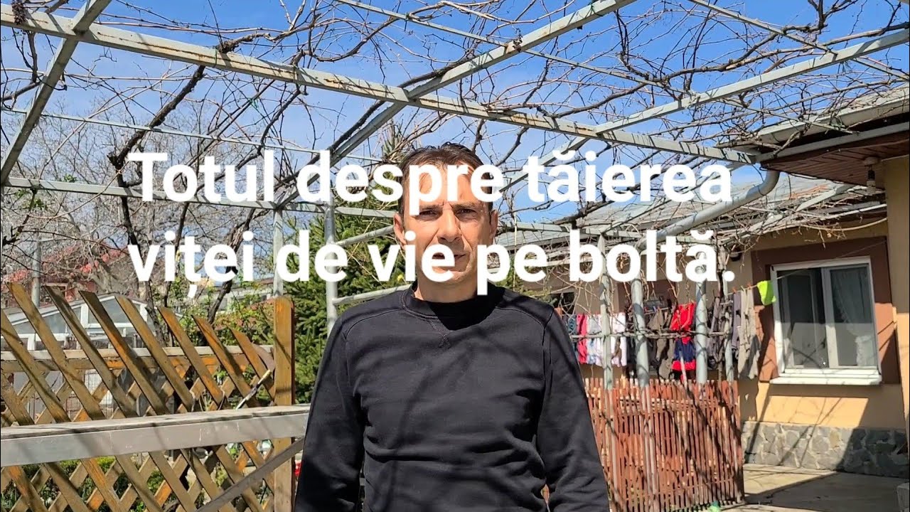 Totul despre tăierea viței-de-vie pe boltă