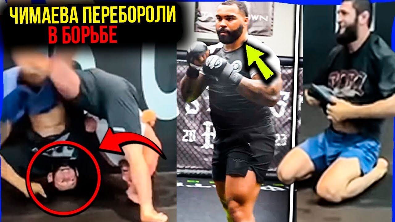 Хамзат Чимаев был раздавлен олимпийским борцом: Гейбл Стивсон шокировал Дэйну Уайта — буря реакций!