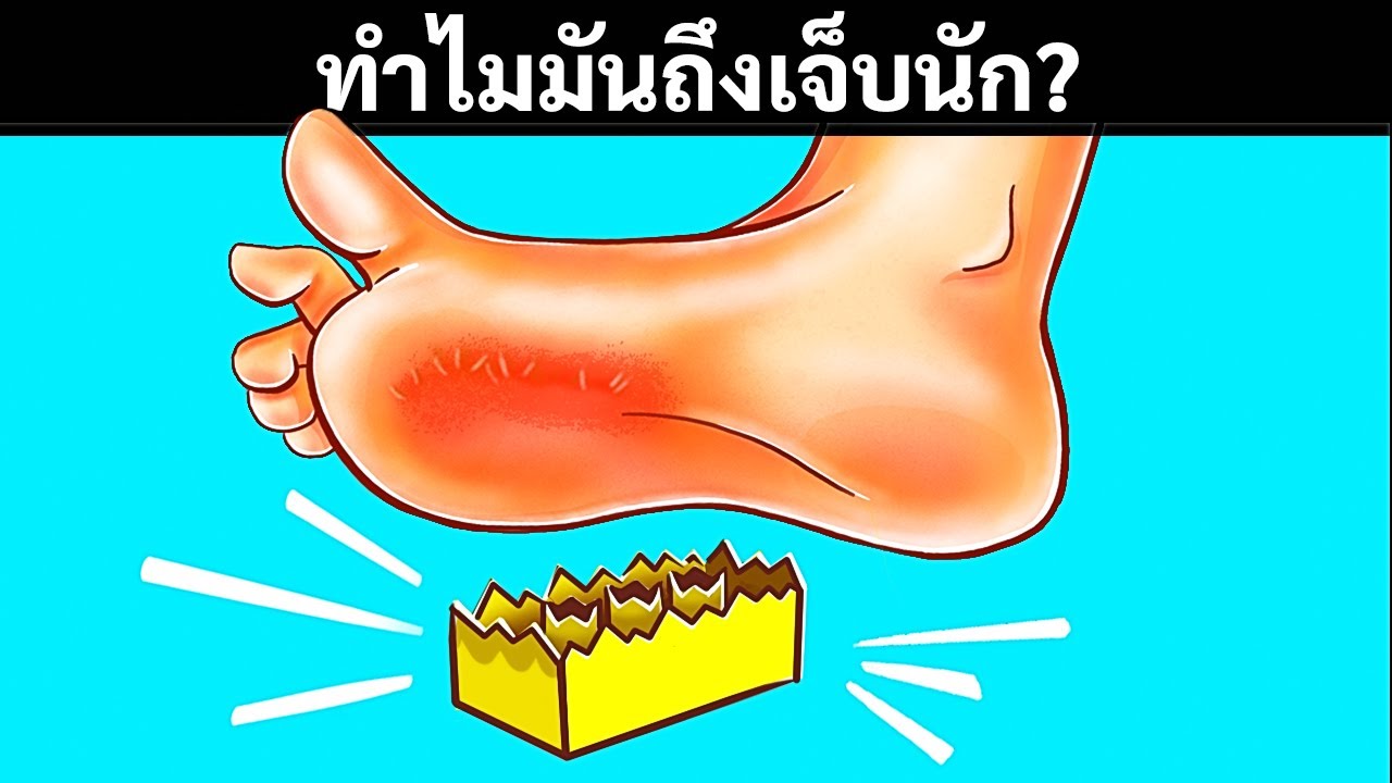 ข้อเท็จจริงที่ไม่มีประโยชน์กว่า 50 ข้อที่คุณจะต้องอยากรู้